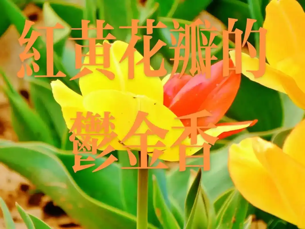 蓝线合拍 #2022有你相伴 #刨作有数 - 抖音