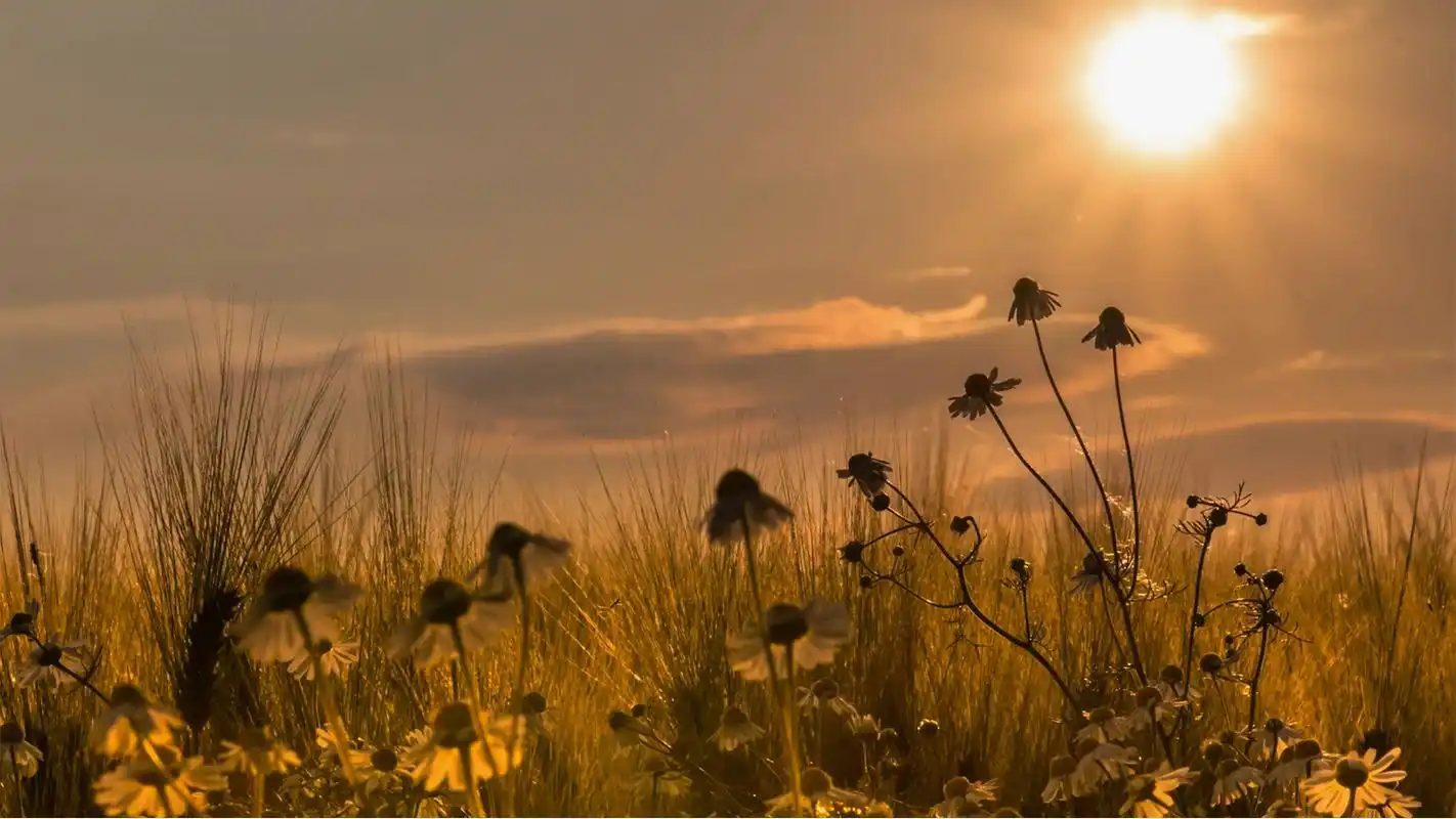 唯美的黄昏风景图片桌面壁纸,暖暖的斜阳挂在天边,夕阳的余晖洒落在整