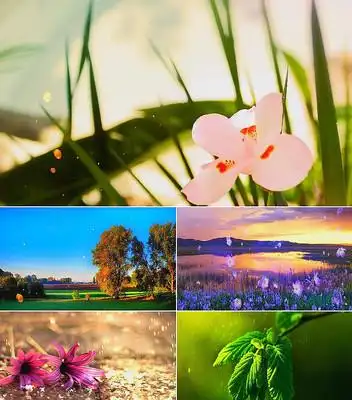 歌曲春泥舞台背景视频 mov