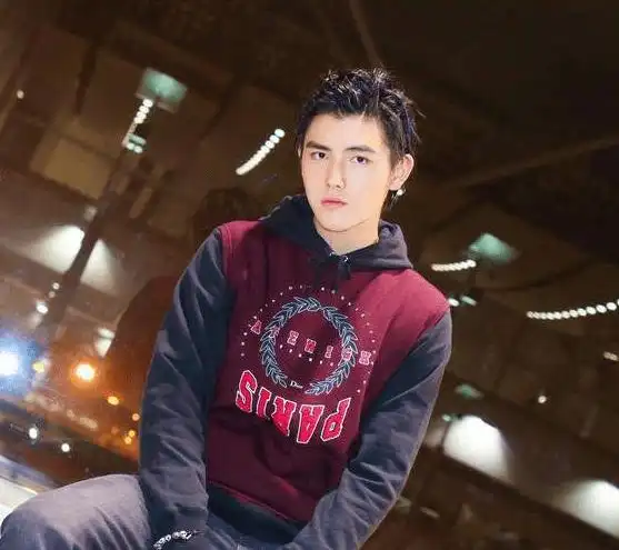 00后"小鲜肉"陈飞宇颜值爆表缘于母亲陈红强大基因!