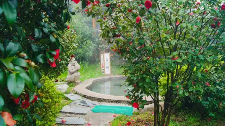 庐山西海国际温泉度假村