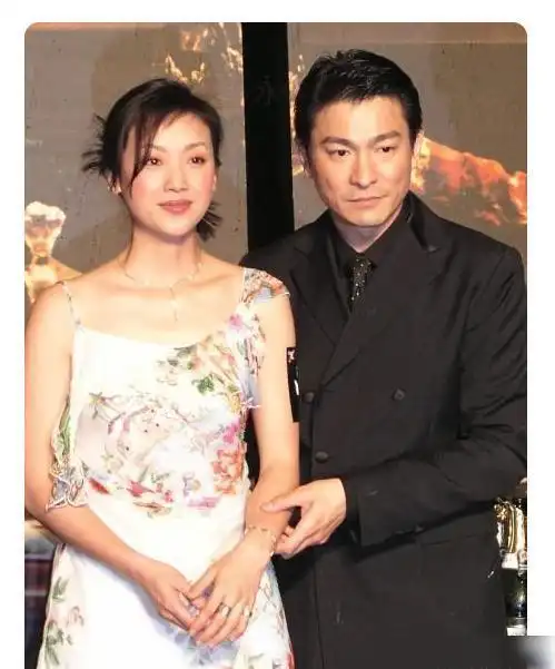 其中有李丽珍,张敏,黎姿,朱茵,王祖贤等人,但是当时刘德华却偏偏被