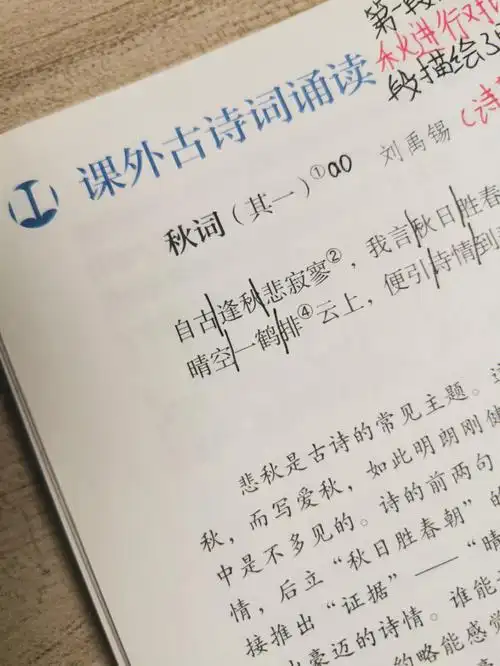 课外古诗词诵读