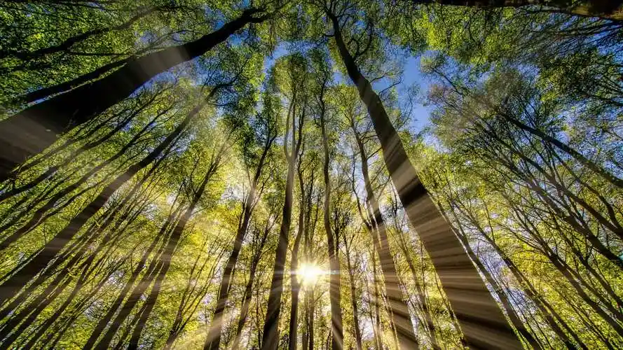 【高清电脑壁纸】珍藏很久的电脑壁纸,每张都可以用很久!(1-3期)