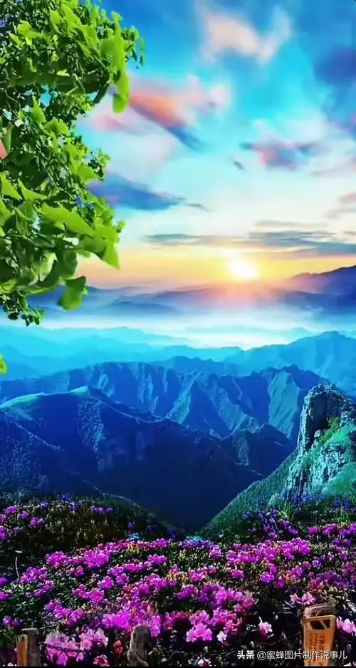 精选唯美养眼大自然风光图片壁纸,壁纸图片 风景 绿色 养眼(大自然