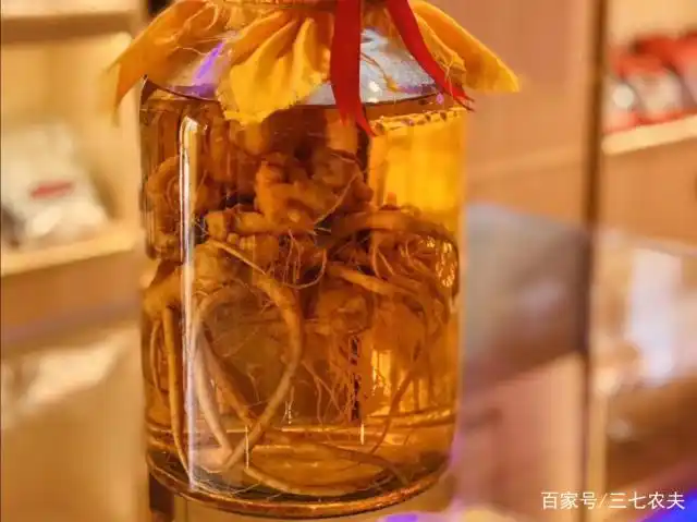 鲜三七泡酒比例特别重要