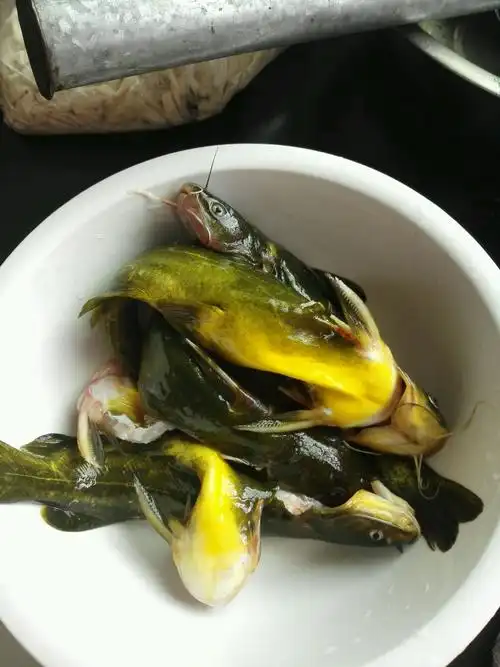 昂子鱼汤怎么烧( 昂子鱼烧什么好吃 )