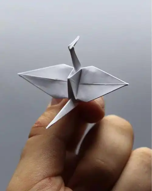 叠千纸鹤这么少女心的事就让他来吧