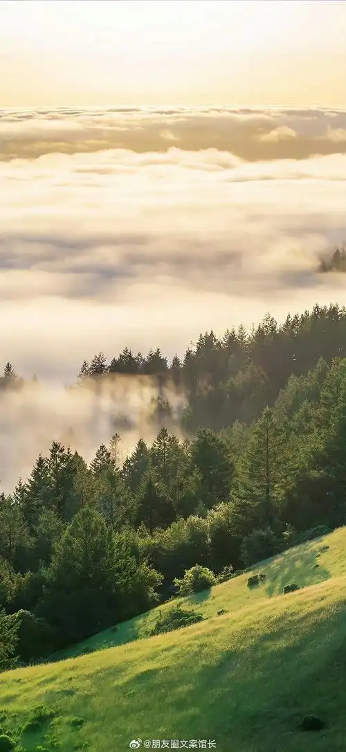 朋友圈文案##文案##壁纸##手机壁纸##无水印壁纸##高清壁纸##堪爱