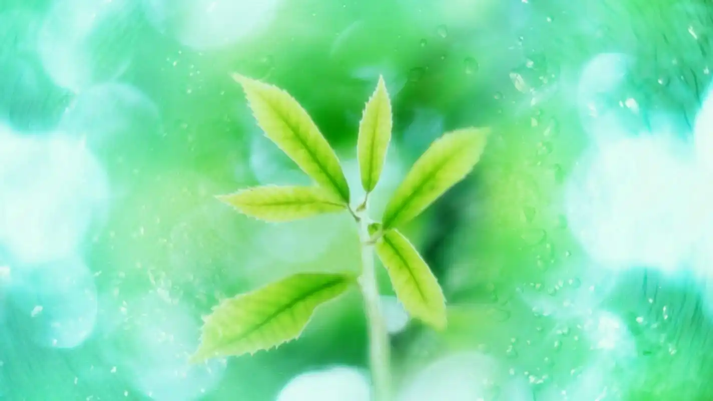 绿色清新护眼绿叶唯美高清壁纸