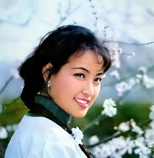 风华正茂的刘晓庆有多美?