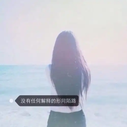 文字#背影#女头 总有一张适合你