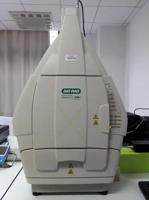 凝胶成像 - 厦门大学生物医学仪器共享平台