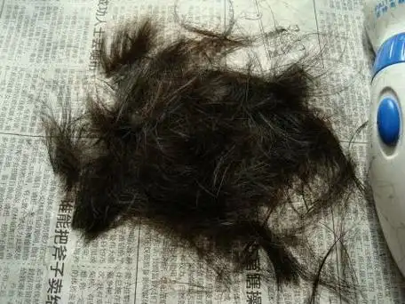 如何处理掉落在地上的头发?