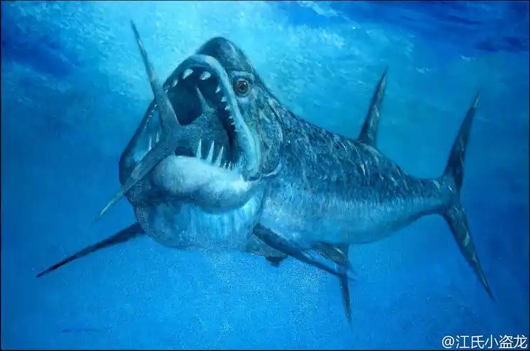 西部内陆海之歌:剑射鱼