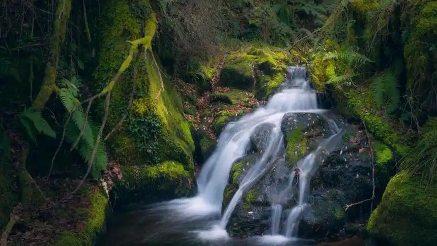 流水潺湲,水光涟艳,高清壁纸,风景图片-回车桌面