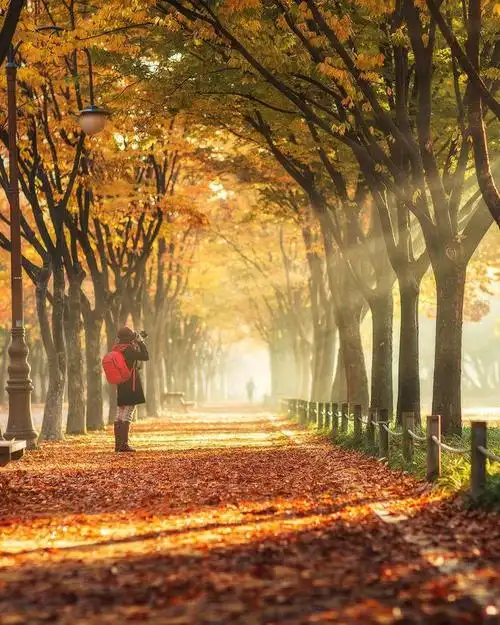 生活照这么拍更好看7句生活照摄影口诀适合新手