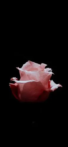 iphonex专用壁纸 拿图请留赞么么哒 黑色控