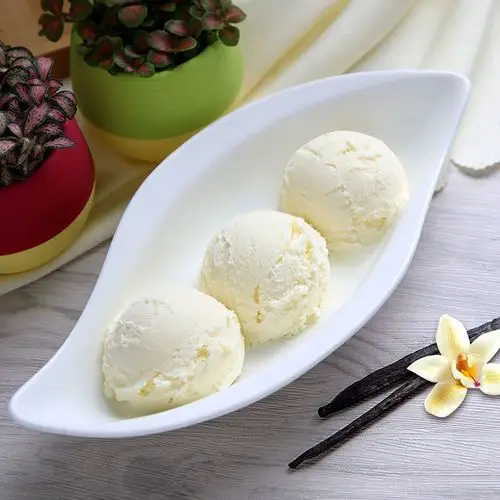 明治meiji香草味家家庭桶装冰淇凌雪雪糕日式冰淇淋