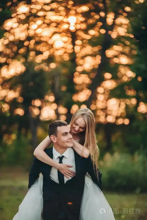 美丽浪漫新婚夫妇的新婚夫妇在公园中拥抱着日落