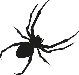 蜘蛛剪影图片-蜘蛛剪影素材-蜘蛛剪影插画-摄图新视界