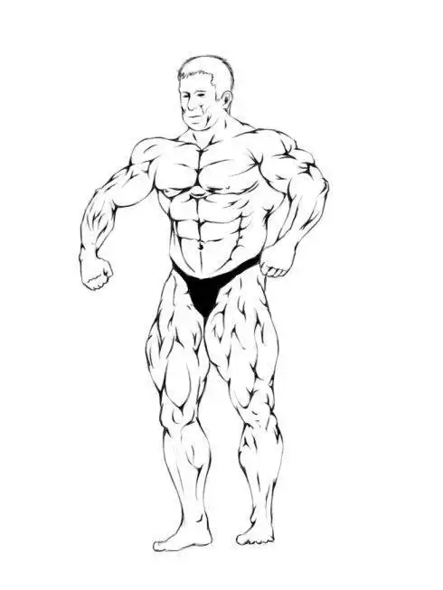 肌肉男画简笔画