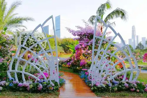 姹紫嫣红——深圳市花2019度簕杜鹃花展