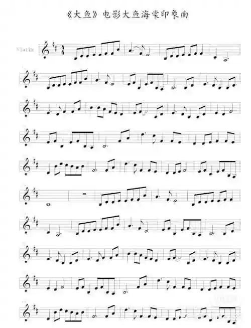 小提琴大鱼,海棠