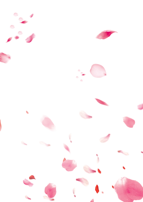 桃花瓣