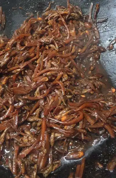 姜6片咸菜(芥菜)300克小虾波鱼(小虾小鱼)500克酱油2勺老抽2勺葱1根