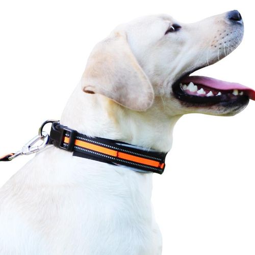 coolbud狗项圈 双层不夹毛大中型犬可调节反光皮革泰迪金毛狗脖圈返光