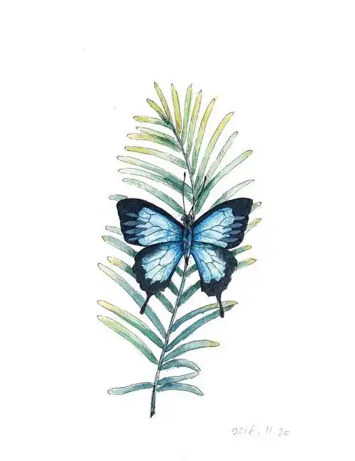 手绘插画蝴蝶花花酱赞评论更多