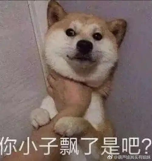 你小子飘了是吧? - 表情包 - 挖吧