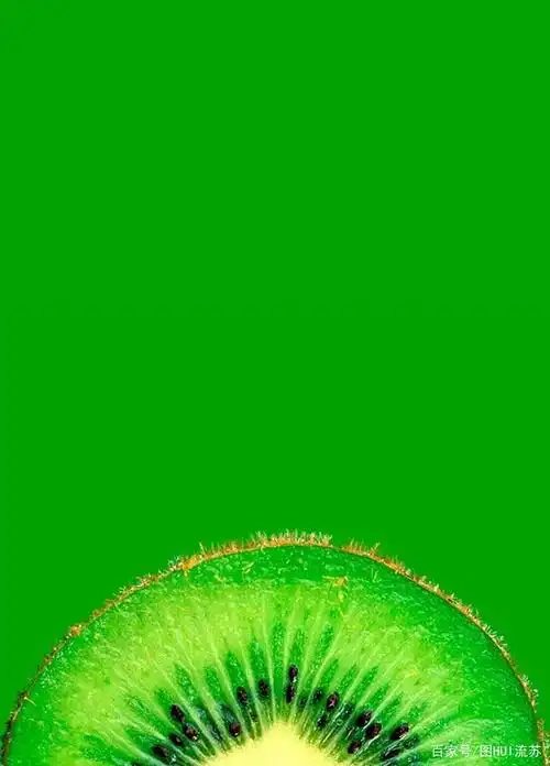 绿色系手机壁纸 七月 盛夏的颜色