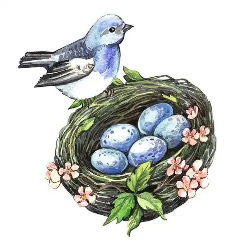 水彩_鸟窝_蛋_高清图片_全景视觉