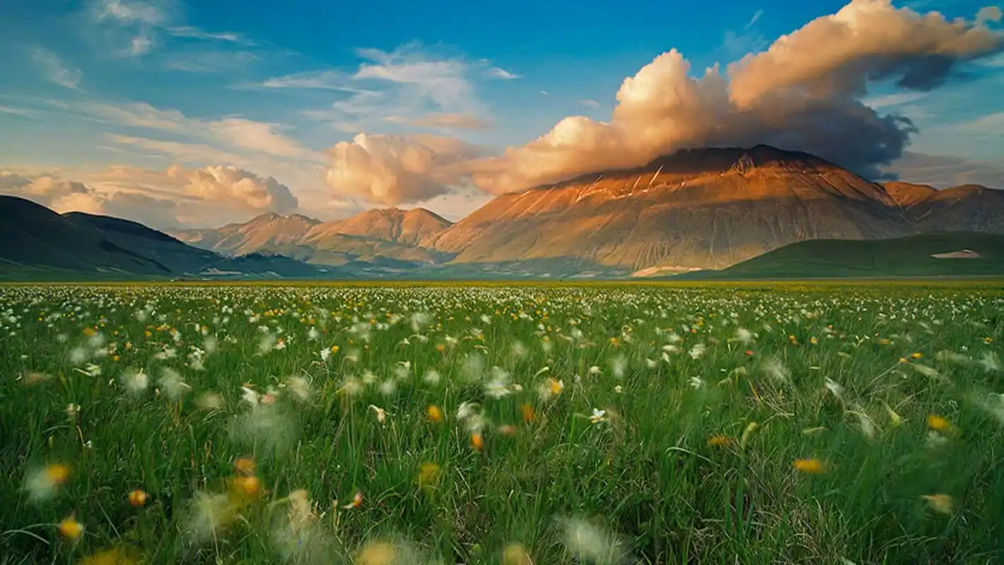 绿色护眼自然风光美景桌面壁纸