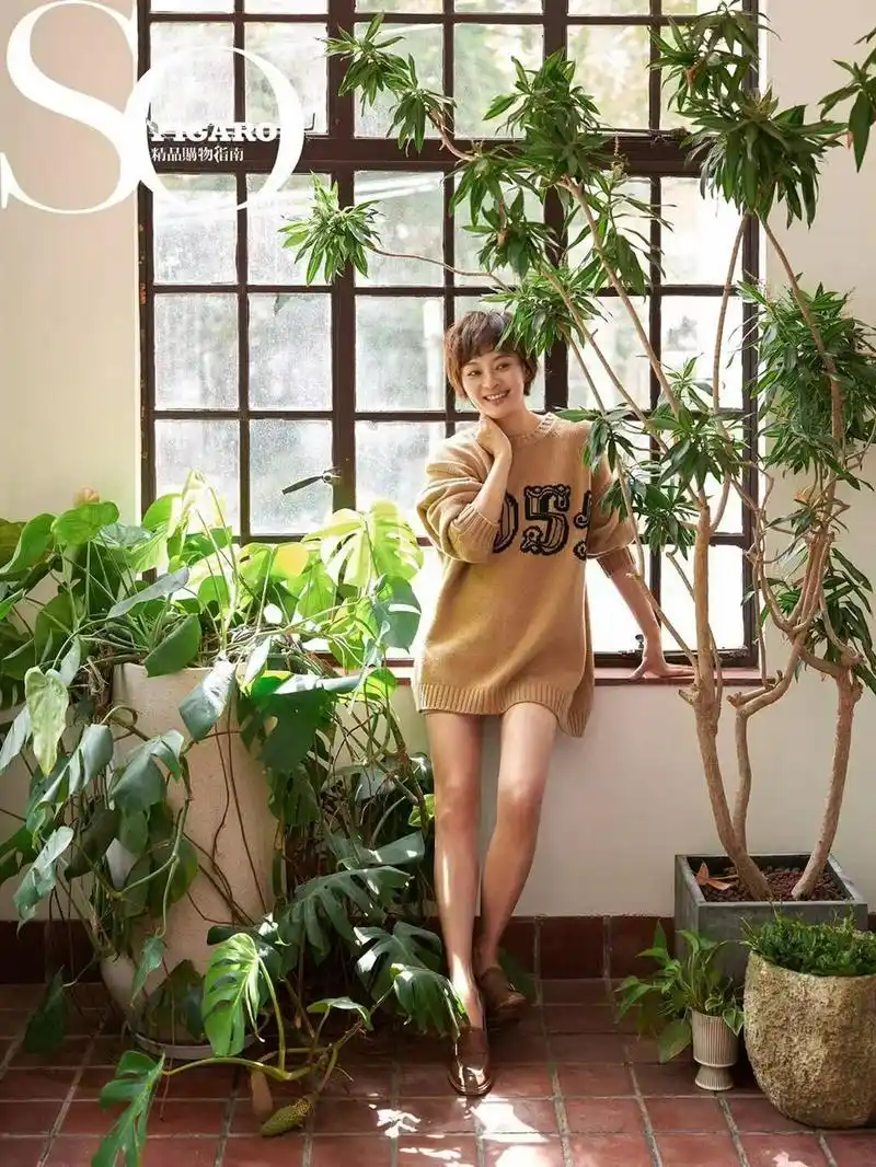 孙俪最新写真大片曝光 一袭修身连衣裙浅笑迷人