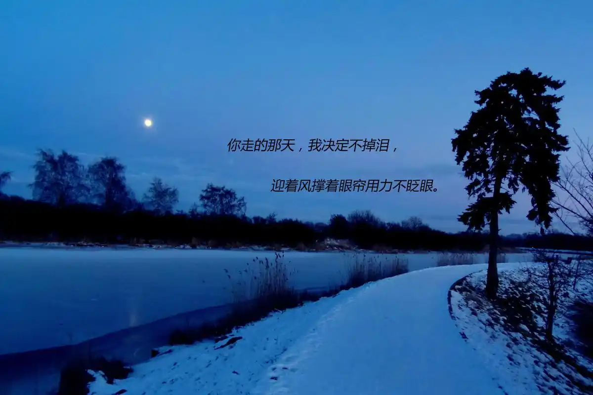 失望到放弃的文字图片