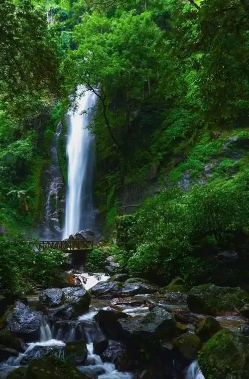 养眼,养身,养心._澎湃