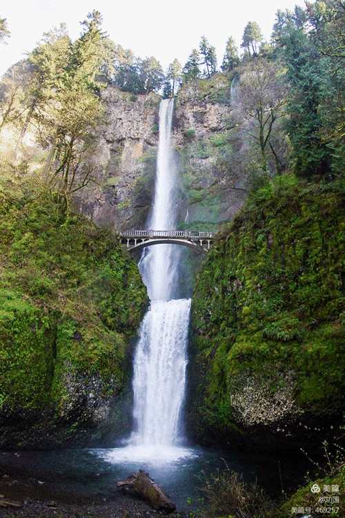 在最后) 写美篇               扪心自问,淋漓尽致,一身是胆,听其自然