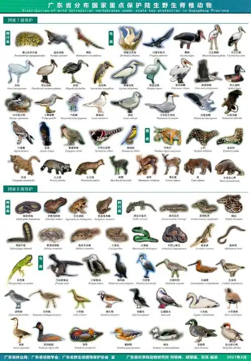 国家重点保护野生动物名录有重大调整!