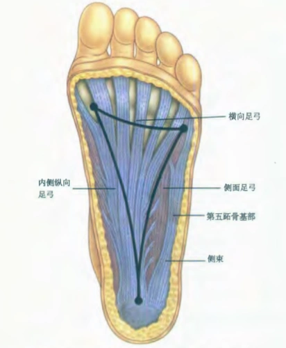 解剖列车读书笔记