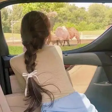 2021最火背影图片女生头像高清2021年最漂亮的背影微信头像图片