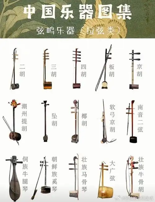中国乐器图集