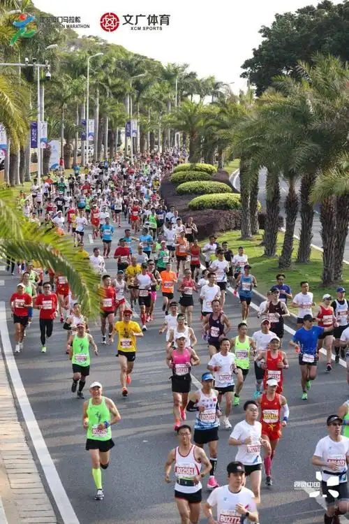 一马当先,一"鹭"相伴,厦门马拉松顺利完赛_赛道
