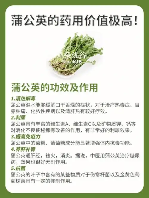 药食两用之物,味苦甘,性寒,入肝,胃二经,具有清热解毒,消痈散结之功效