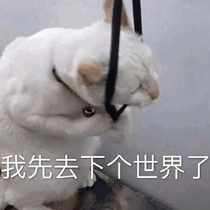 一组超有意思的沙雕表情包好想关心你可你老是不生病