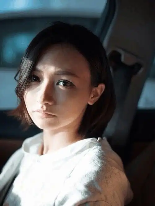 嗨氏或不能继续直播|虎牙|董导|楚河_新浪新闻