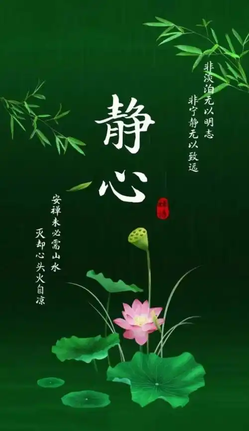 最好的活法:活在当下,知足常乐,随遇而安