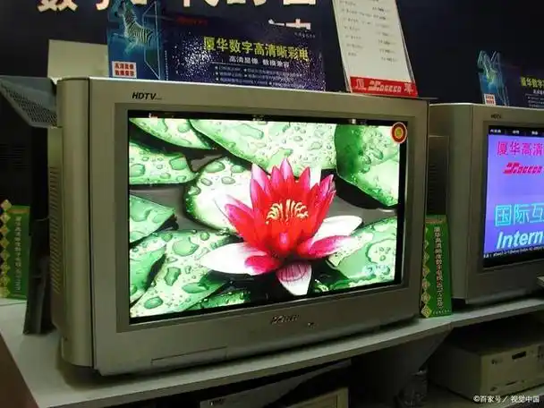 长虹电视机,人生第一台电视机,质量杠杠的